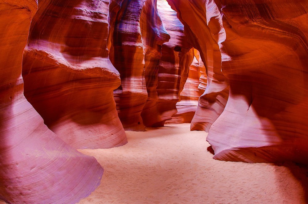 ������������ ������ ��������, ��� - 3