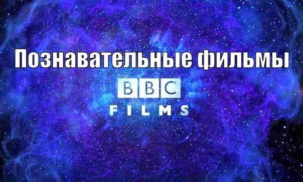 BBC:  .  1.      2.   3.    ...