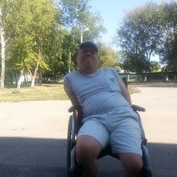 ���� �������, �������, 44 ���� - ��������� 31 ������� 2015