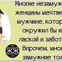 ���� Zlata, ������ �������� - ��������� 6 ������� 2015 � ������ ���� ����������