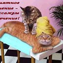 ���� ������, ����������, 49 ��� - ��������� 14 ������ 2015 � ������ ������ ��������