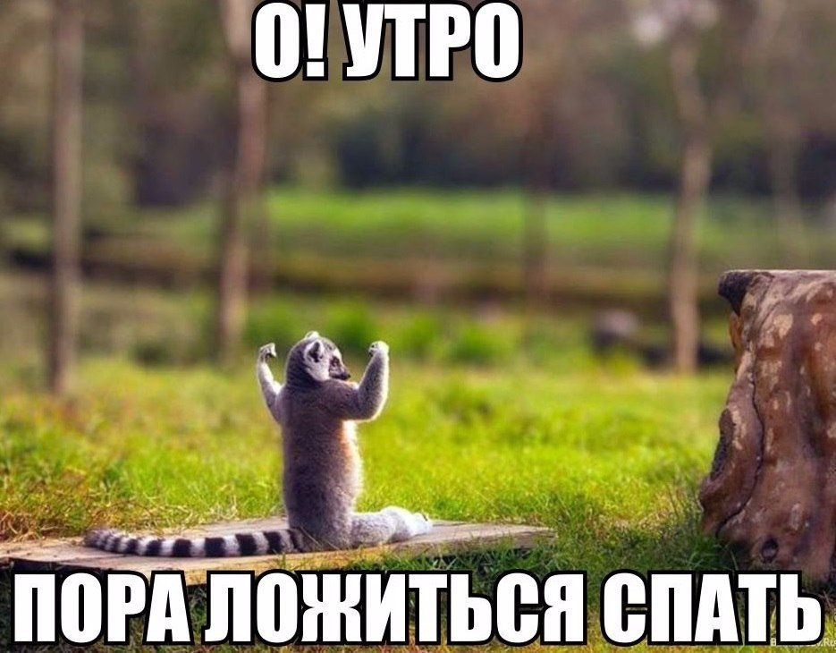   - 28  2015  05:10