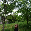 ���� �������, ����������� - ��������� 12 ������ 2015 � ������ ���� ����������