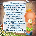 ���� ������, �����-���������, 46 ��� - ��������� 9 ������ 2016 � ������ ������ ��������