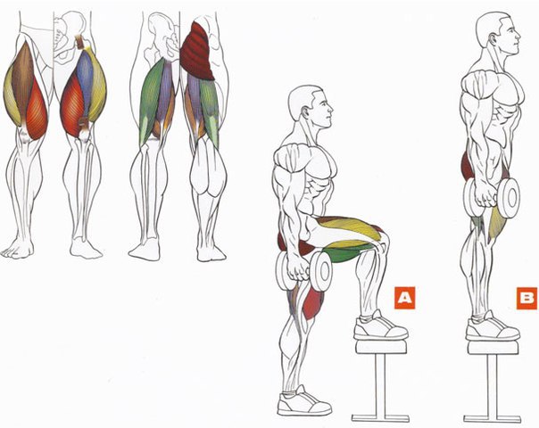  +    . 2 - 3