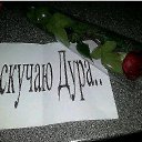 ���� �������, ������, 44 ���� - ��������� 13 ������� 2016