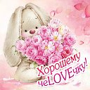 ���� Sall ������*�f (��������), ������, 39 ��� - ��������� 26 ������� 2016 � ������ �������� ��������