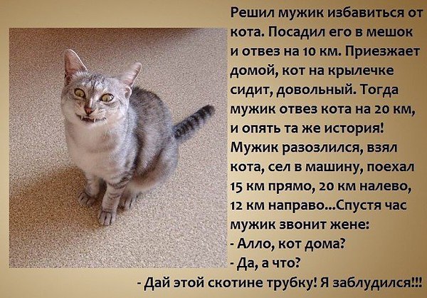  - 20  2015  20:29