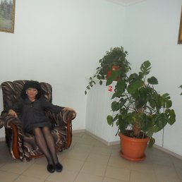 � ���������