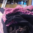  , , 37  -  11  2015   !)