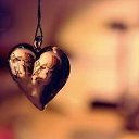 ���� �������, �������, 42 ���� - ��������� 6 ������� 2015 � ������ ������ ��������