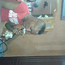 ���� Soudani Mahmoud, ����, 43 ���� - ��������� 16 ������� 2015 � ������ ������ ��������