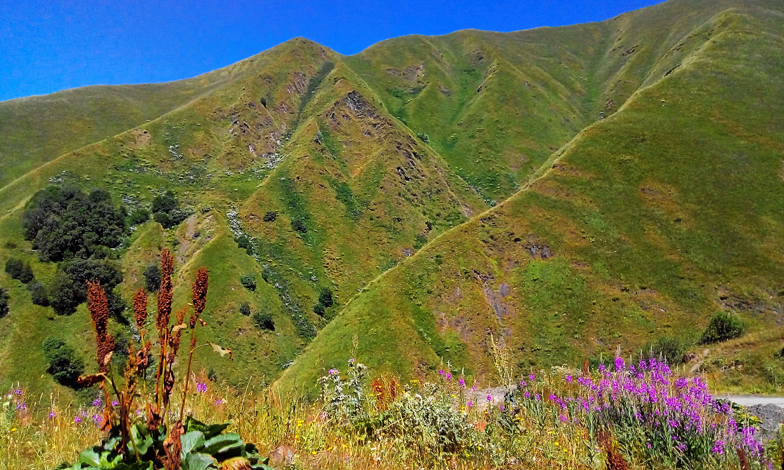 Datvijvari Pass (Bear Cross Pass, 2670 m above sea level)