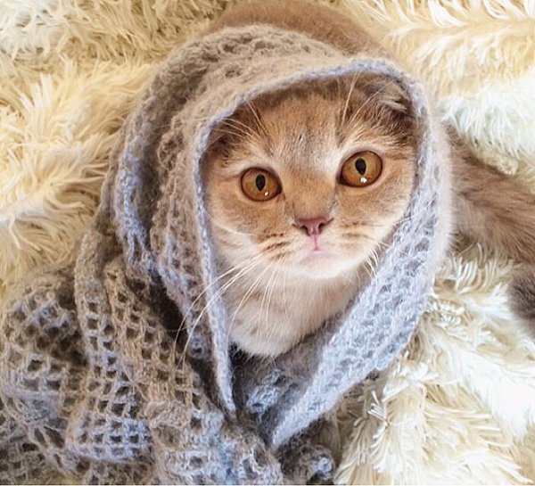 ����� ������� - 21 ������ 2015 � 21:59