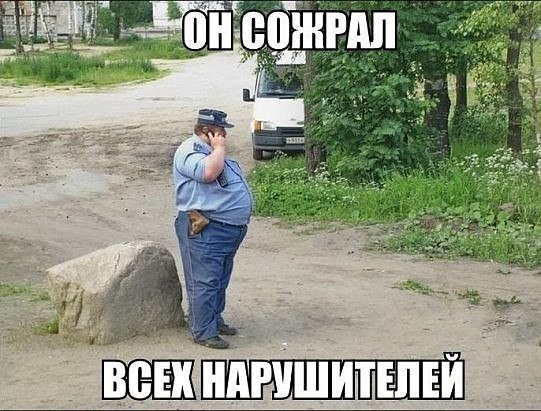  - ,  - 17  2016  08:20