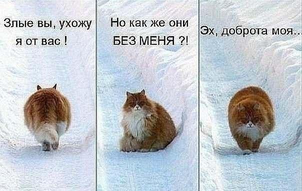   - 9  2015  15:01