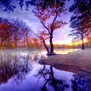 ���� �������, �����������, 41 ��� - ��������� 6 ������ 2015 � ������ ������ ��������