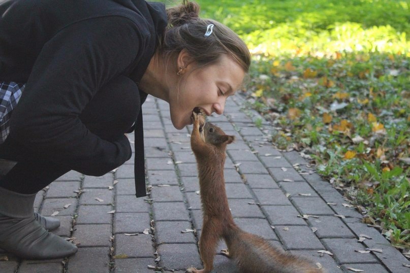      :)).#animal@travel.blog