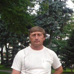 ��������, ������, 65 ���