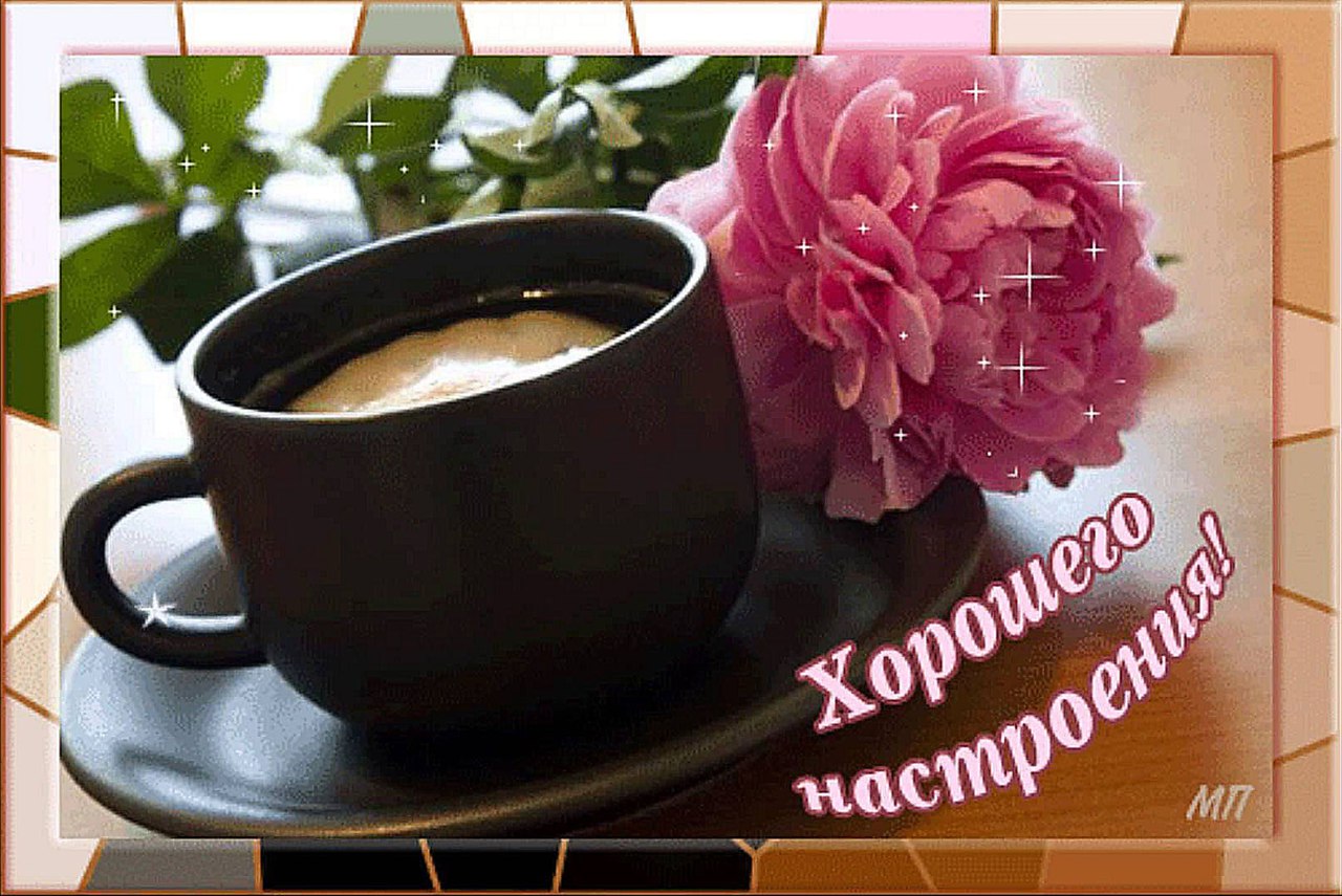 Гифки настроение