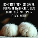 ���� �����, ������ - ��������� 14 ������ 2016 � ������ ������ ��������