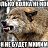���� ----������, �����, 43 ���� - ��������� 4 ������ 2015