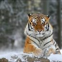 ���� ������, ������������, 32 ���� - ��������� 10 ������ 2016