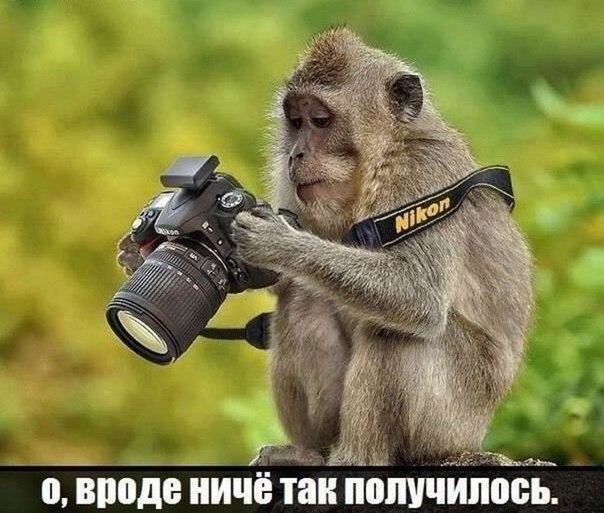    :-) - 28  2015  20:40