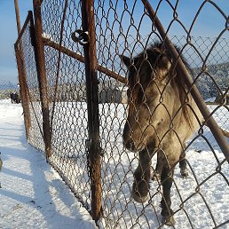 �������, ������, 35 ���