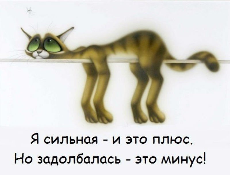  - 21  2015  17:03