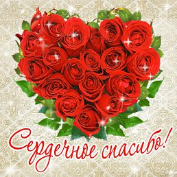 ���� Alexandr-1, ���������, 51 ��� - ��������� 15 ������ 2016