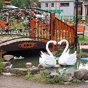 ���� ��������, �����������, 57 ��� - ��������� 3 ������� 2016 � ������ ���� ����������