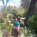 ���� �������, ������ - ��������� 24 ������� 2015