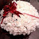  , , 41  -  7  2016      fotiko.ru