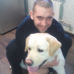Yorik, �������