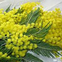  , , 43  -  28  2015   Ż