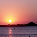  , , 75  -  17  2015     Ȼ