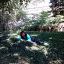 ���� �������, ������ - ��������� 21 ������� 2015 � ������ ���� ����������