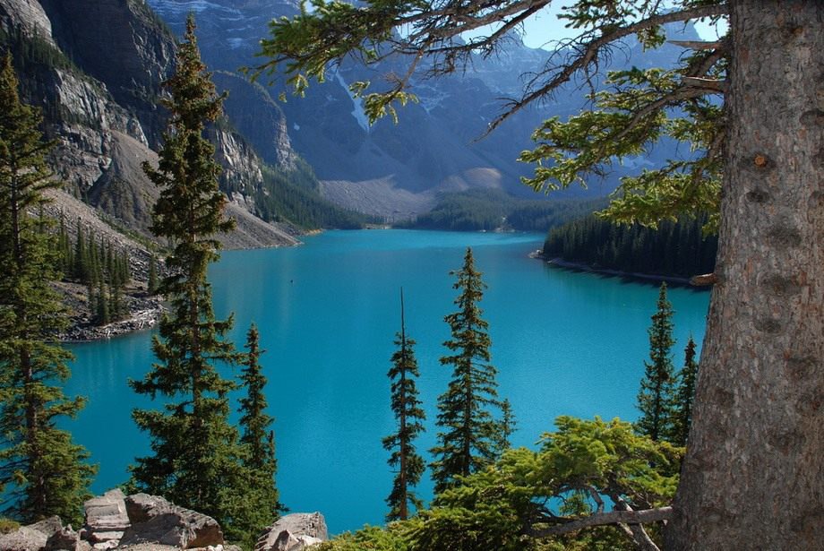 Удивительная красота реки озера или моря. Закарпатье горное озеро. Красивая природа. Красота природы. Красивые места.