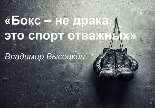  -   - 28  2016  13:46