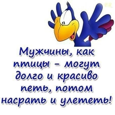  - 8  2016  17:09