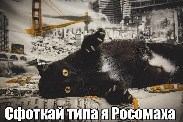    - 5  2015  18:15