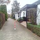 ��� ����� ���������� ����� ��� ����� ����������� �� ������� ��������� � ���� 2015 �������