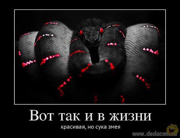 ****** - 12  2015  14:34