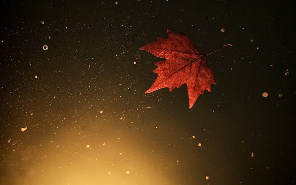    - 14  2015  14:06