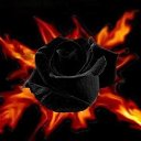 ���� �������, ����, 69 ��� - ��������� 17 ������ 2016 � ������ ������ ��������