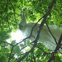 ���� ���������, ������ - ��������� 13 ������� 2015 � ������ ���� ����������