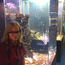 ���� ����, ���������, 30 ��� - ��������� 3 ������� 2015 � ������ ���� ����������