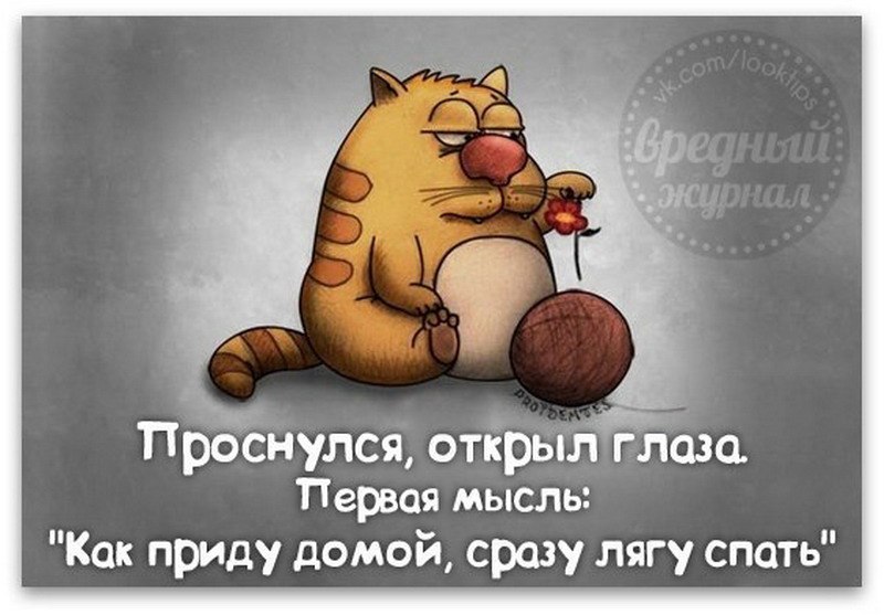  .  .