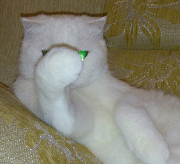 -����,������ �����... -������? -��, �� ������ � ,�� ������...